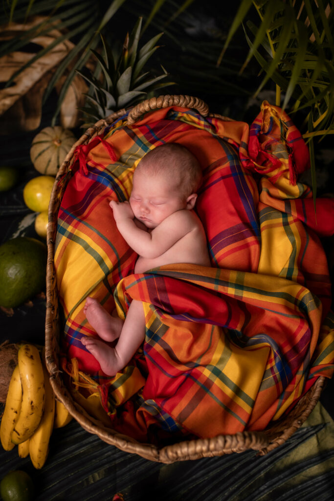 Photographe, nouveau-né, famille, grossesse, entreprise, immobilier, mariage, couple, engagement, baptême, France, nouvelle-aquitaine, pays-basque, les landes, saint-paul-lès-dax, Antilles, Martinique, Guadeloupe, Alizé Lietaer