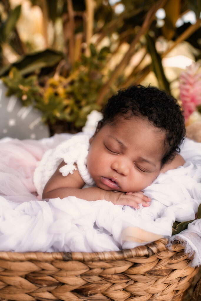 Photographe, nouveau-né, famille, grossesse, entreprise, immobilier, mariage, couple, engagement, baptême, France, nouvelle-aquitaine, pays-basque, les landes, saint-paul-lès-dax, Antilles, Martinique, Guadeloupe, Alizé Lietaer