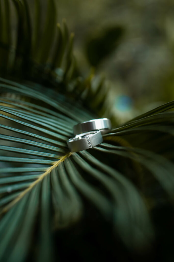 Photographe, nouveau-né, famille, grossesse, entreprise, immobilier, mariage, couple, engagement, baptême, France, nouvelle-aquitaine, pays-basque, les landes, saint-paul-lès-dax, Antilles, Martinique, Guadeloupe, Alizé Lietaer