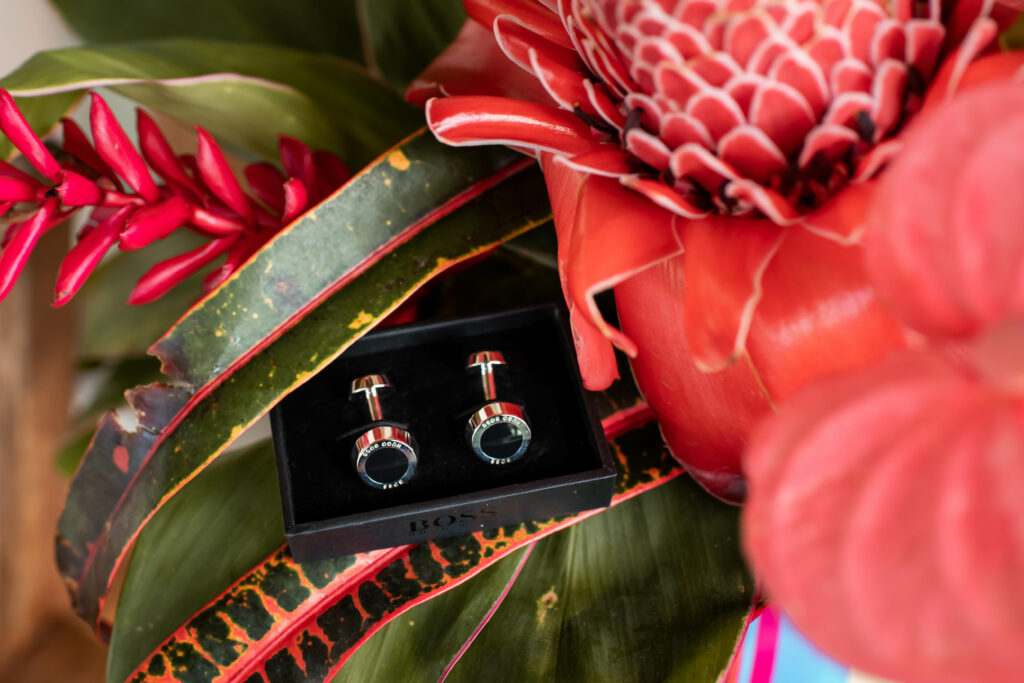 Photographe, nouveau-né, famille, grossesse, entreprise, immobilier, mariage, couple, engagement, baptême, France, nouvelle-aquitaine, pays-basque, les landes, saint-paul-lès-dax, Antilles, Martinique, Guadeloupe, Alizé Lietaer