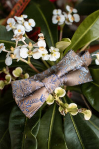 Photographe, nouveau-né, famille, grossesse, entreprise, immobilier, mariage, couple, engagement, baptême, France, nouvelle-aquitaine, pays-basque, les landes, saint-paul-lès-dax, Antilles, Martinique, Guadeloupe, Alizé Lietaer